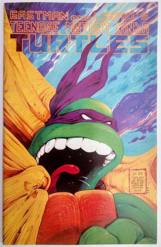 Teenage Mutant Ninja Turtles #22