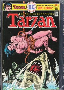 Edgar Rice Burroughs' Tarzan #243 (1975)