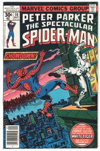The Spectacular Spider-Man #10 (1977) Spider-Man