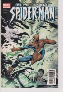 Marvel Comics! Peter Parker: Spiderman! Issue #49!