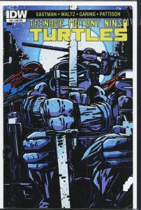 Teenage Mutant Ninja Turtles #52 Cover B (2015)