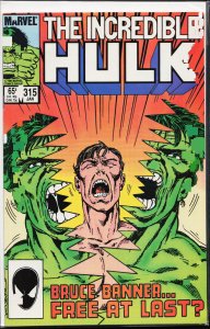 The Incredible Hulk #315 (1986) Hulk
