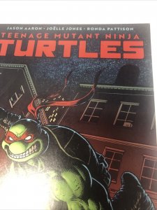 Teenage Mutant Ninja Turtels (NM) # 1 (2024)  Variant • IDW Publishing • Aaron