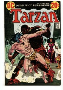 Tarzan-#217-1973-DC-BRONZE-AGE-Joe Kubert-FN/VF 