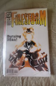Firestorm #2 (2004)