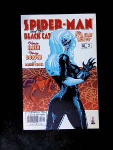 Spider-Man and the Black Cat The Evil That Men Do #2  MARVEL Comics 2002 VF+