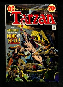 Tarzan (1972) #215