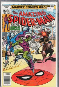 The Amazing Spider-Man #177 (1978) Spider-Man