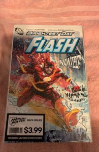 The Flash #2  (2010)