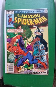 The Amazing Spider-Man #204 (1980)