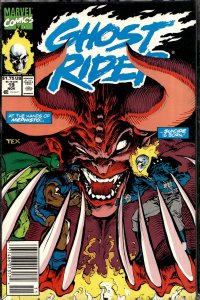 Ghost Rider #19 (1991) Ghost Rider