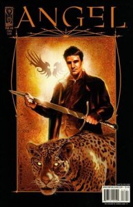 Angel: After the Fall 18-B Nick Runge Standard Cover VF/NM