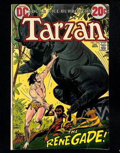 Tarzan (1972) #216