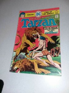 Tarzan Of The Jungle 12 Issue Silver Bronze Age Comics Lot Run Set Collection
