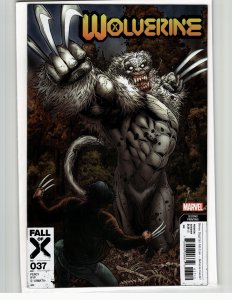 Wolverine #37 Second Print Cover (2023)