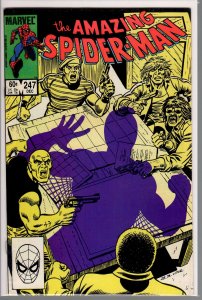 The Amazing Spider-Man #247 (1983) 8.0 VF