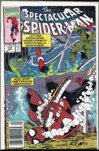 The Spectacular Spider-Man #175 (1991) Spider-Man