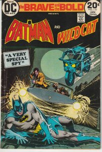 The Brave and the Bold #110 (1974)