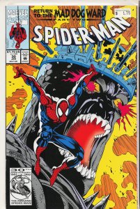 Spider-Man #30 (1993) Spider-Man