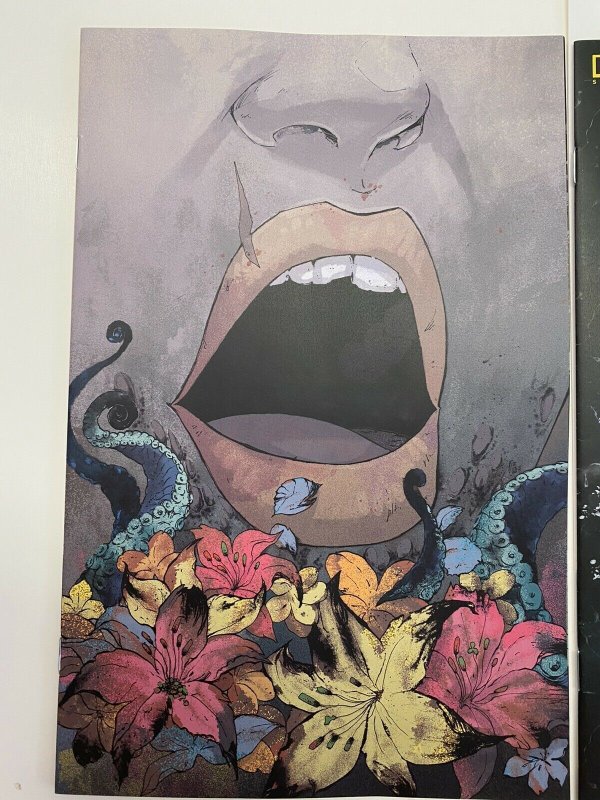 MAW #1 CVR D 1:10 + E 1:25 KRISTINTINA NM BOOM STUDIOS COMICS IN-HAND SHIPS NOW