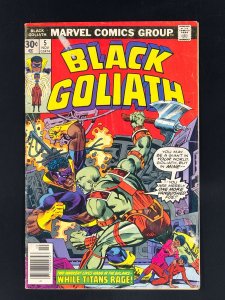 Black Goliath #5 (1976)