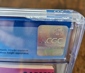 The Punisher Annual 2 CGC 9.2 (1989) case does have small chip.