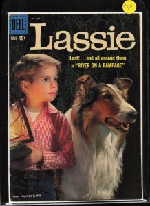 Lassie #44