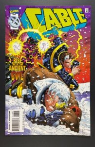 Cable #30 (1996)