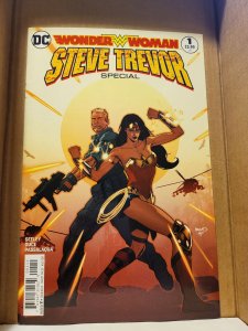 Wonder Woman: Steve Trevor Special (2017) sb6