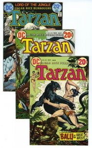 TARZAN LOT (1972-1974)