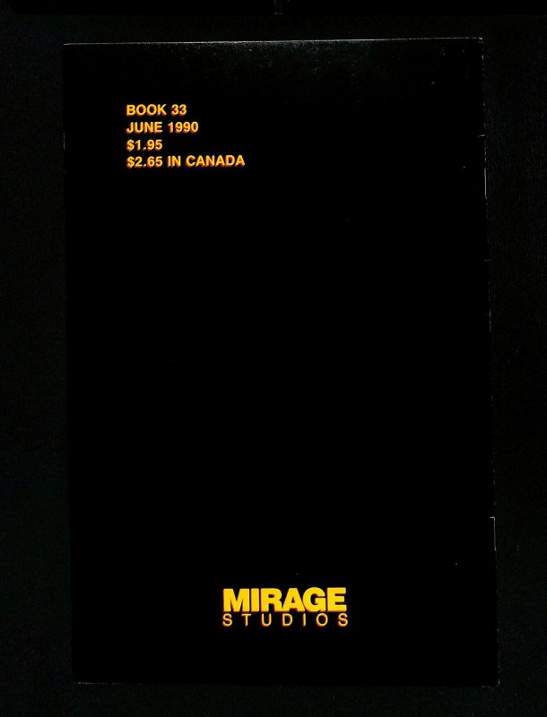 Teenage Mutant Ninja Turtles #33