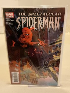 Spectacular Spider-Man #14  2004  9.0 (our highest grade)
