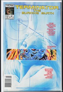 The Terminator: The Burning Earth #1 (1990) The Terminator