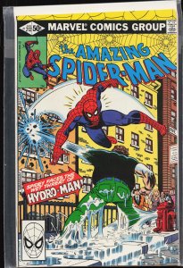 The Amazing Spider-Man #212 (1981) Spider-Man [Key Issue]