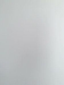 WALKING DEAD #109 NM BLANK SKETCH variant Image Comics