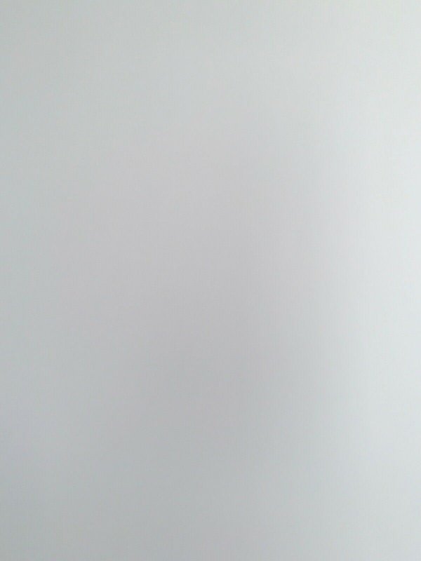 WALKING DEAD #109 NM BLANK SKETCH variant Image Comics