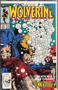 Wolverine #19 (1989) Wolverine