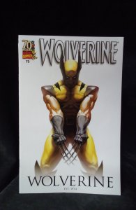 Wolverine #73 Variant Cover (2009)