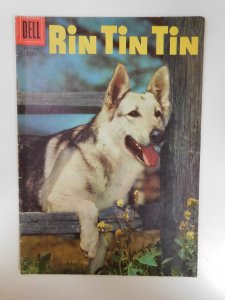 Rin Tin Tin #14