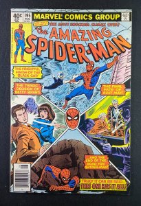 Amazing Spider-Man (1963) #195 VF (8.0)