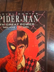 Spider-Man: With Great Power... #1 (2008)