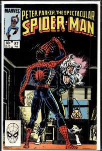 The Spectacular Spider-Man #87 (1984) Spider-Man