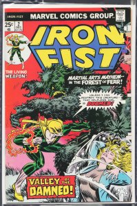Iron Fist #2 (1975) Iron Fist