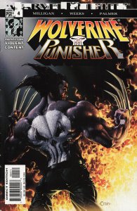 Wolverine/Punisher #4 (2004) Punisher