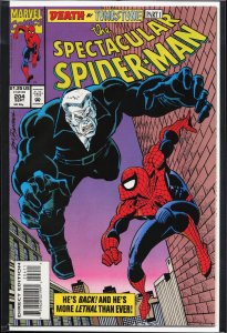 The Spectacular Spider-Man #204 (1993) Spider-Man