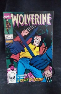 Wolverine #26 (1990)