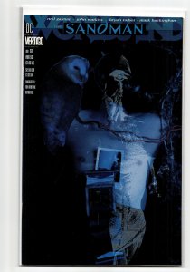 The Sandman #52 (1993) Sandman
