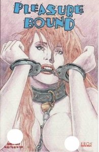 Pleasure Bound #1 (1996)