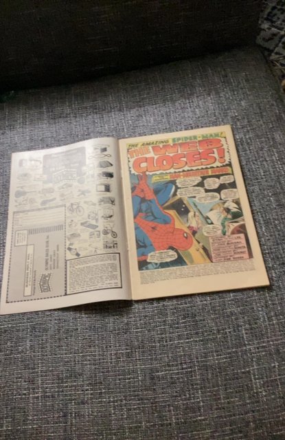The Amazing Spider-Man #73 (1969) High%Grade 1st Man-Mountain Mario VF/NM Boca!