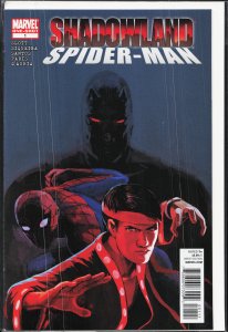 Shadowland: Spider-Man (2010) Spider-Man